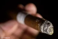 Talavera Edición Exclusiva 2015 Corona Gorda