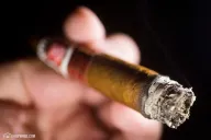 Hoyo de Monterrey Elegantes