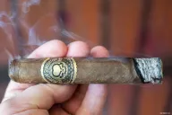 Asylum Sensorium Asen 60