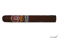 Saint Luis Rey Carenas Ultramar