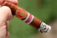 Saint Luis Rey Pacificos
