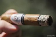 VegaFina Robusto Extra PigTail Añejado 7 Años