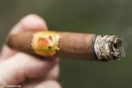 CAO 65th Anniversary Esen