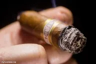 Buenaventura BV Treas