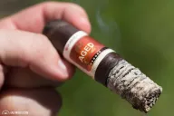 Dunhill Aged Maduro