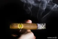 La Colmena Unico Especial