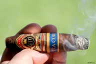 GTO La Cura Pig Tail Gran Perfecto