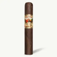 Paradiso Classico