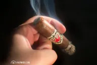 Viaje Exclusivo Leaded