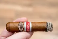 Rafael González North Star Edición Regional Nordico-Baltico (2017)