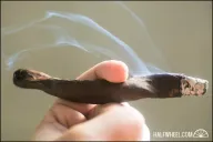 Regius Winston’s Humidor Third Anniversary Culebra Oscuro