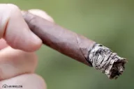Porthole by La Sirena Ecuadorian Habano Oscuro