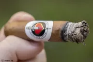 Chogüí Heart Breaker