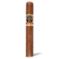 Casa Magna XV Anniversary