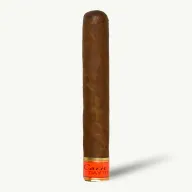 Cain Daytona Robusto