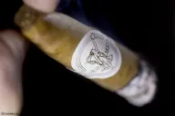 Flor de Selva El