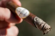FQ Proper Corona Gorda