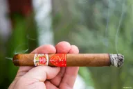 Hoyo de Monterrey Primaveras