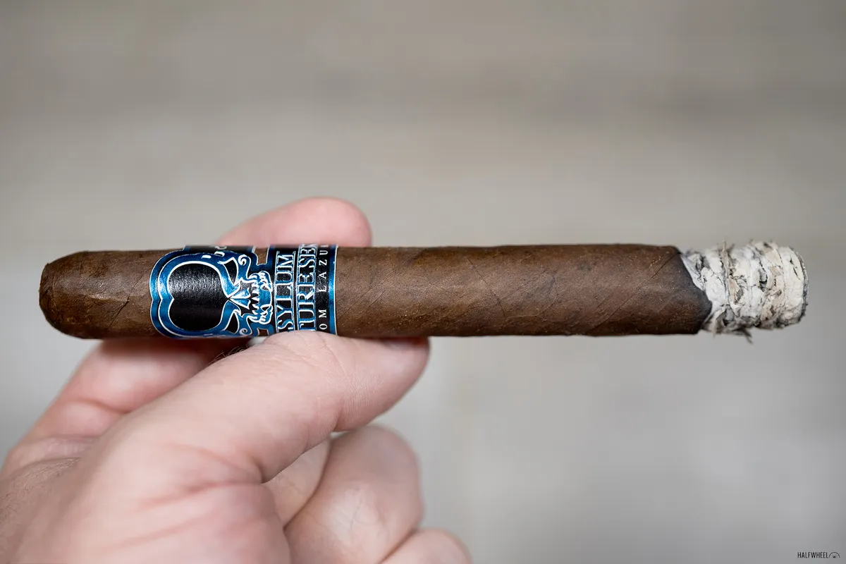 Asylum выпустила линейку Asylum 13 Signature Series by Tom Lazuka